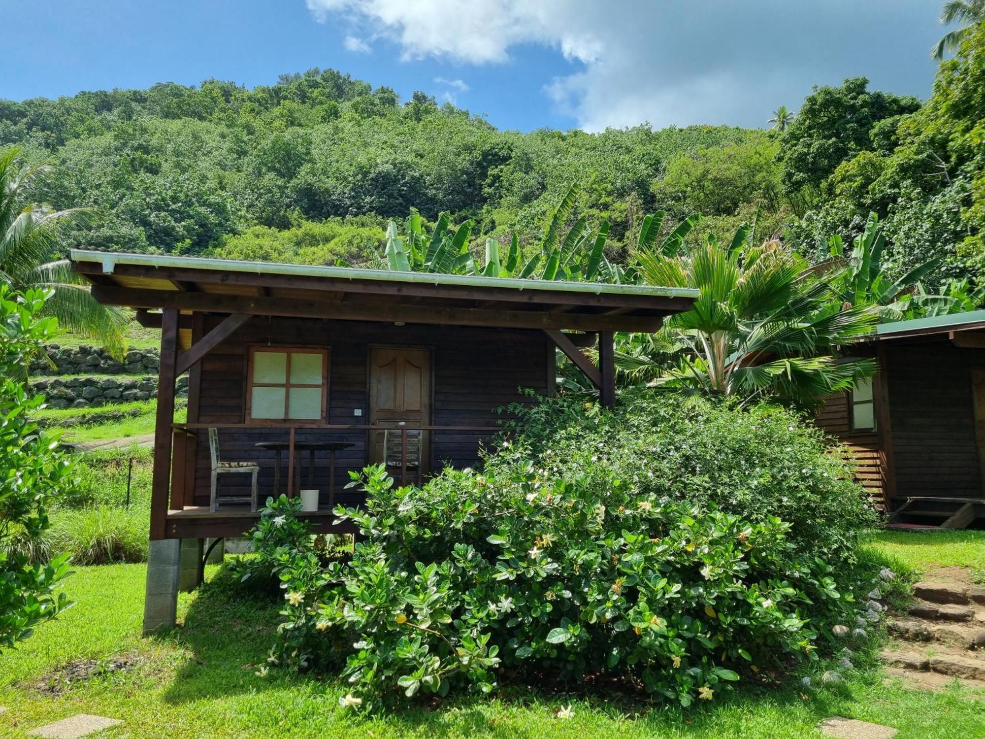 Hostel Painapaopao Backpacker Moorea Exteriér fotografie